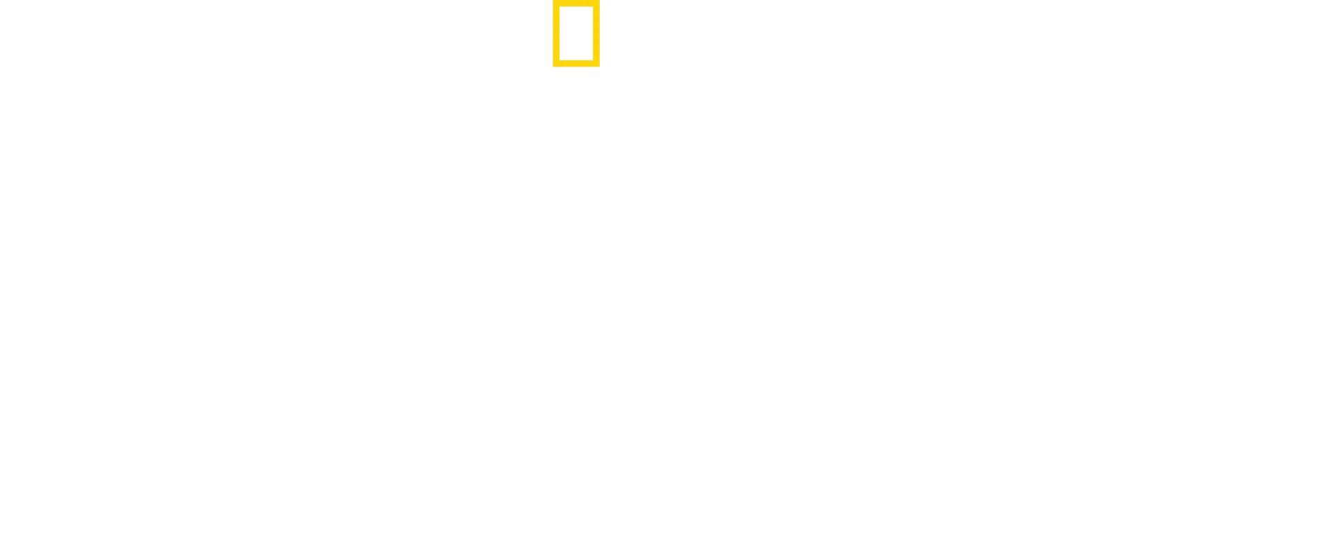 Bertie Gregory: A tu per tu con gli squali martello