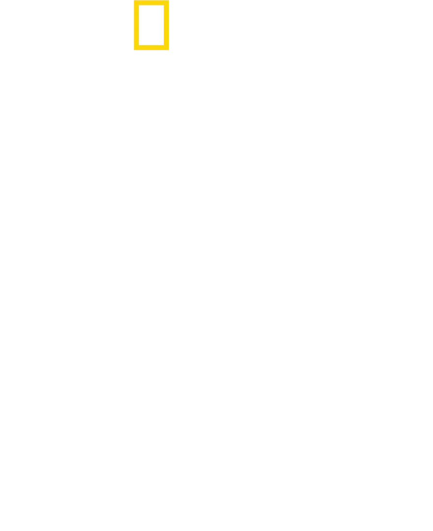 버티 그레고리의 해머 헤드 샤크 클로즈 업