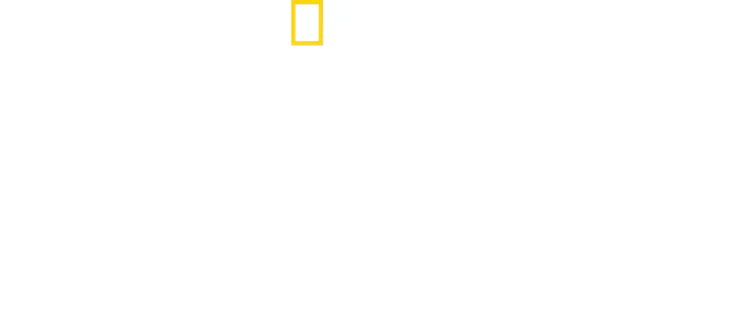 Bertie Gregory: bliskie spotkanie z młotowatymi