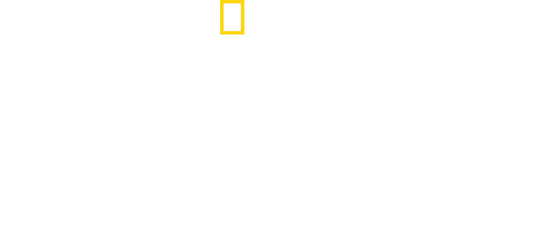 Bertie Gregory: bliskie spotkanie z młotowatymi