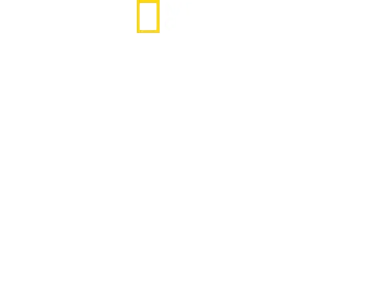 Tubarões de Perto com Bertie Gregory: Tubarão-martelo