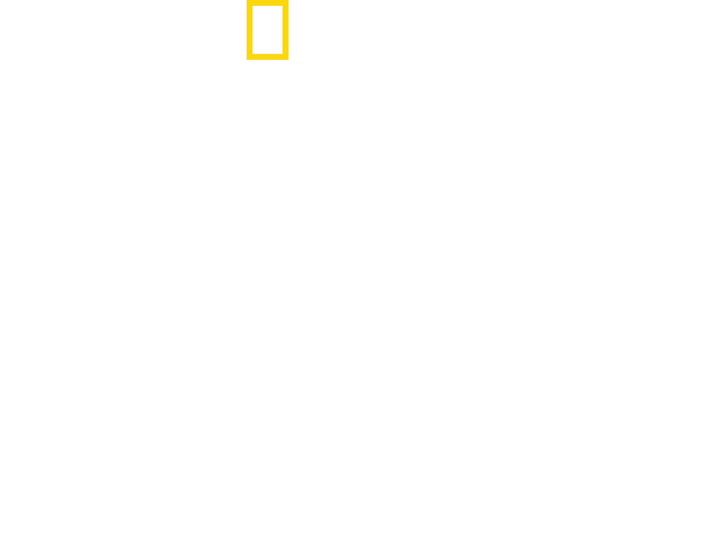 Tubarões de Perto com Bertie Gregory: Tubarão-martelo