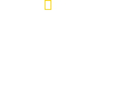 Tubarões Por Perto com Bertie Gregory: Tubarões-martelo