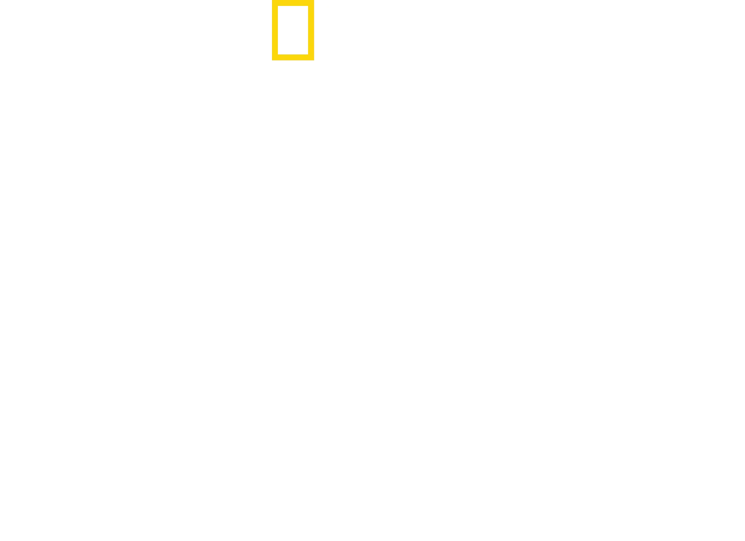 Tubarões Por Perto com Bertie Gregory: Tubarões-martelo