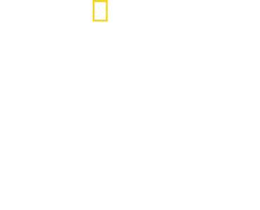 Rechinii ciocan în prim-plan, cu Bertie Gregory