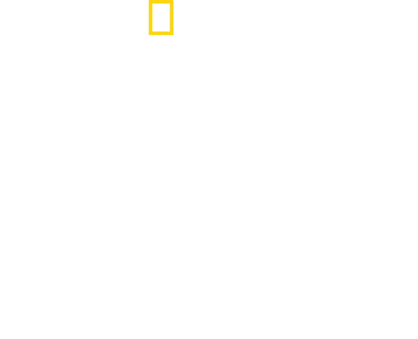 Rechinii ciocan în prim-plan, cu Bertie Gregory