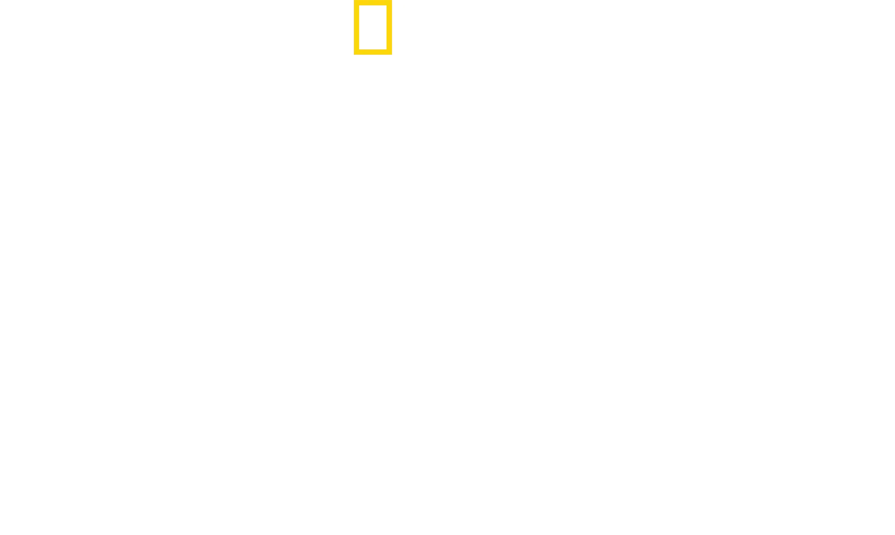 Žraloky kladivohlavé zblízka s Bertiem Gregorym