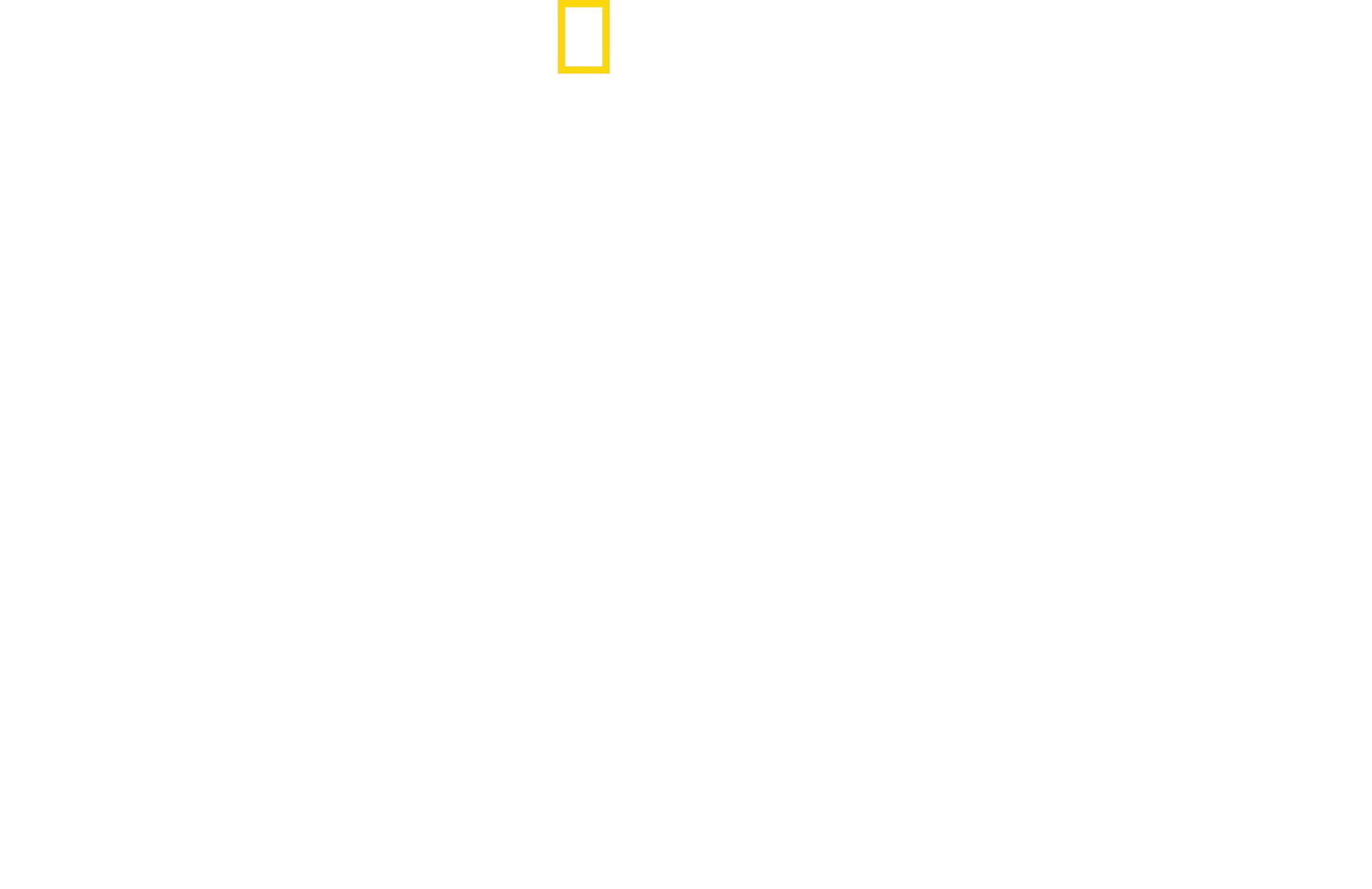 Bertie Gregory Çekiç Başlı Köpekbalıkları ile Yüz Yüze