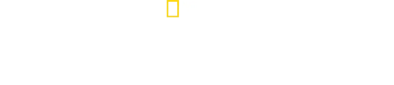 バーティのハイテク・クローズアップ！ハンマーヘッド・シャーク編