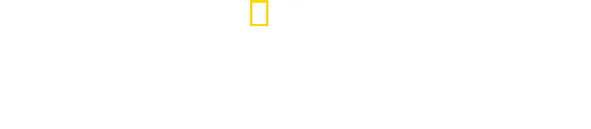 バーティのハイテク・クローズアップ！ハンマーヘッド・シャーク編