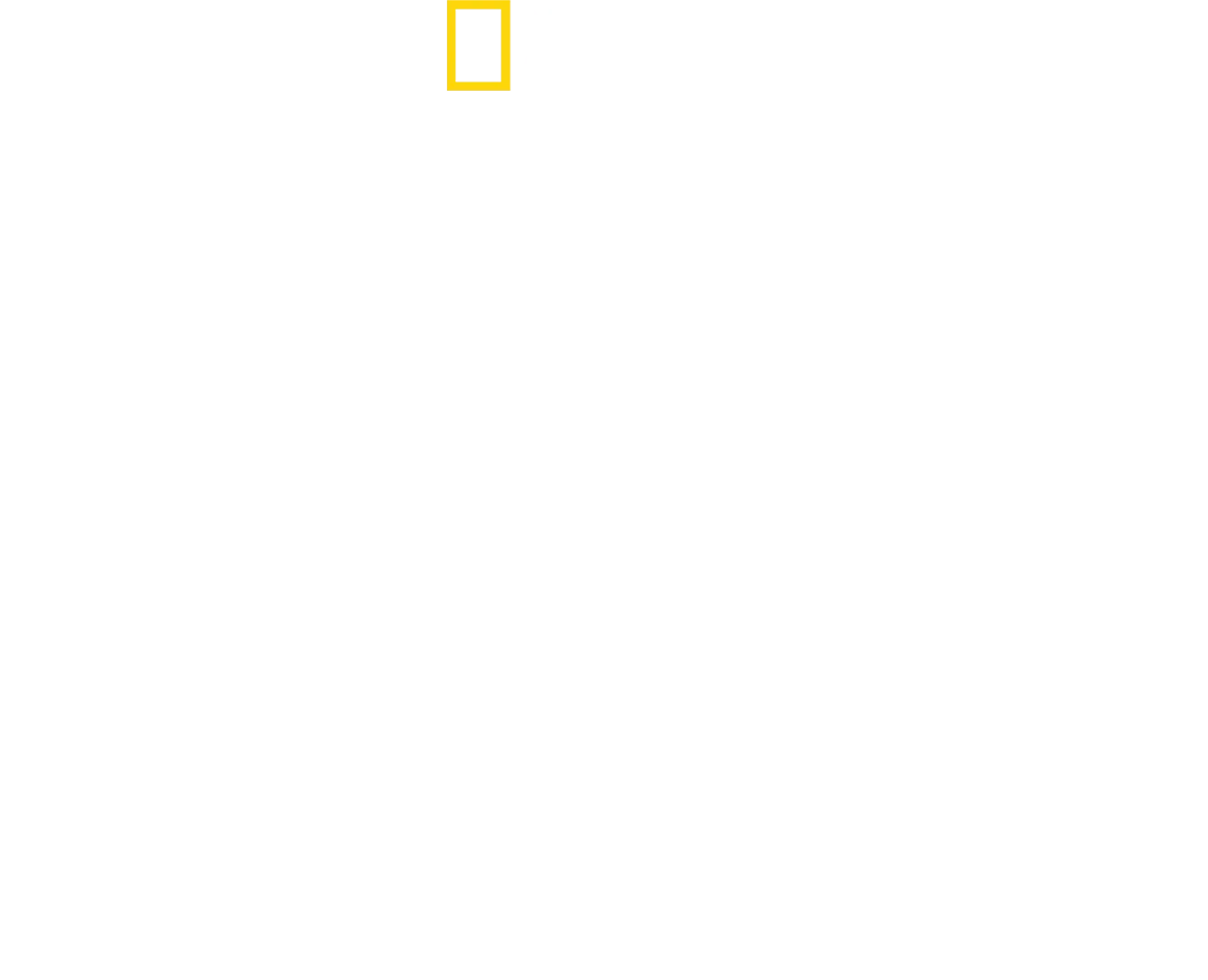 攝影師柏蒂與雙髻鯊零距離