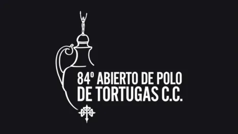 thumbnail - Abierto de Tortugas