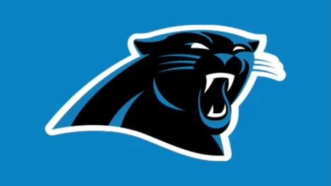 thumbnail - Carolina Panthers