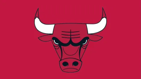 thumbnail - Chicago Bulls