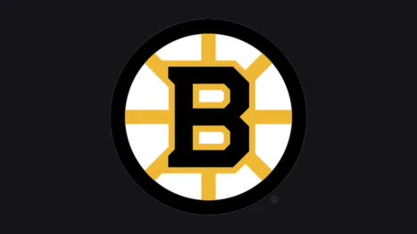 thumbnail - Boston Bruins