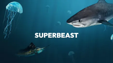 thumbnail - Superbestia