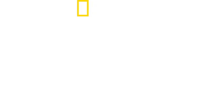 הערים האבודות נחשפות עם אלברט לין