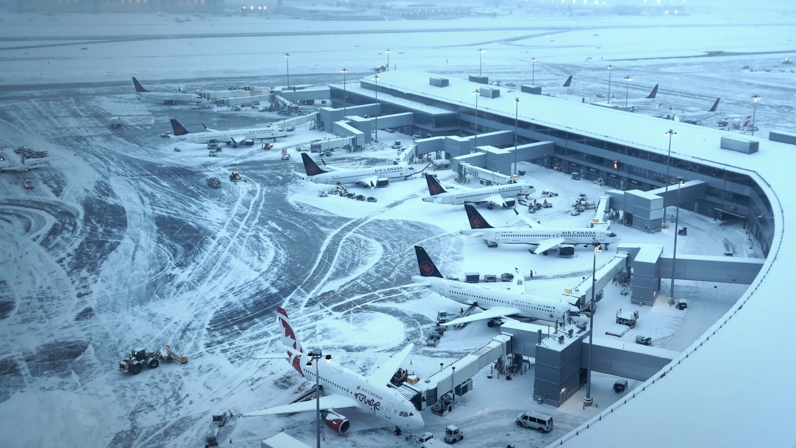 Toronto Airport Uncovered
