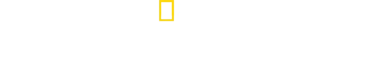 Toronto Airport Uncovered