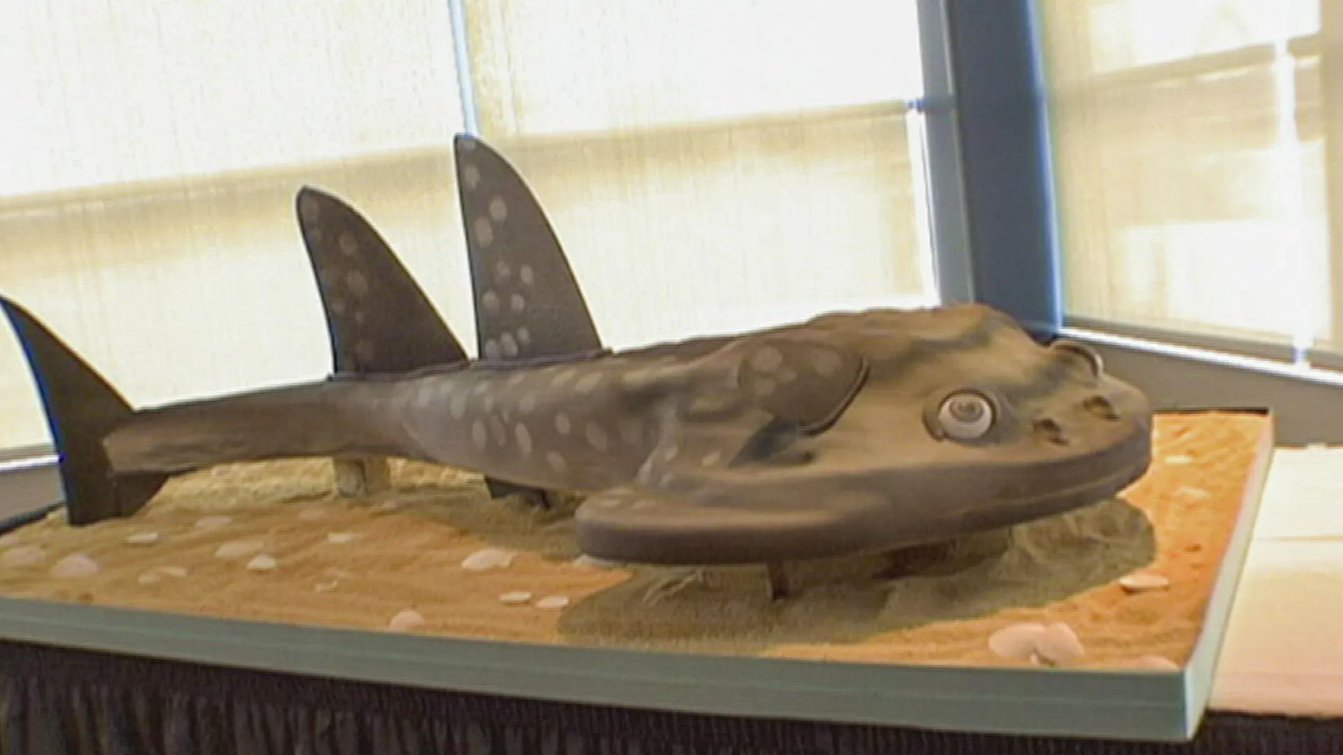 thumbnail - S5:E5 Swimming with Sharks