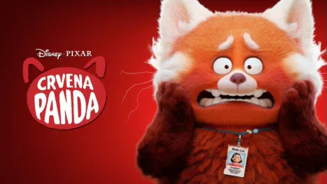 thumbnail - Crvena Panda