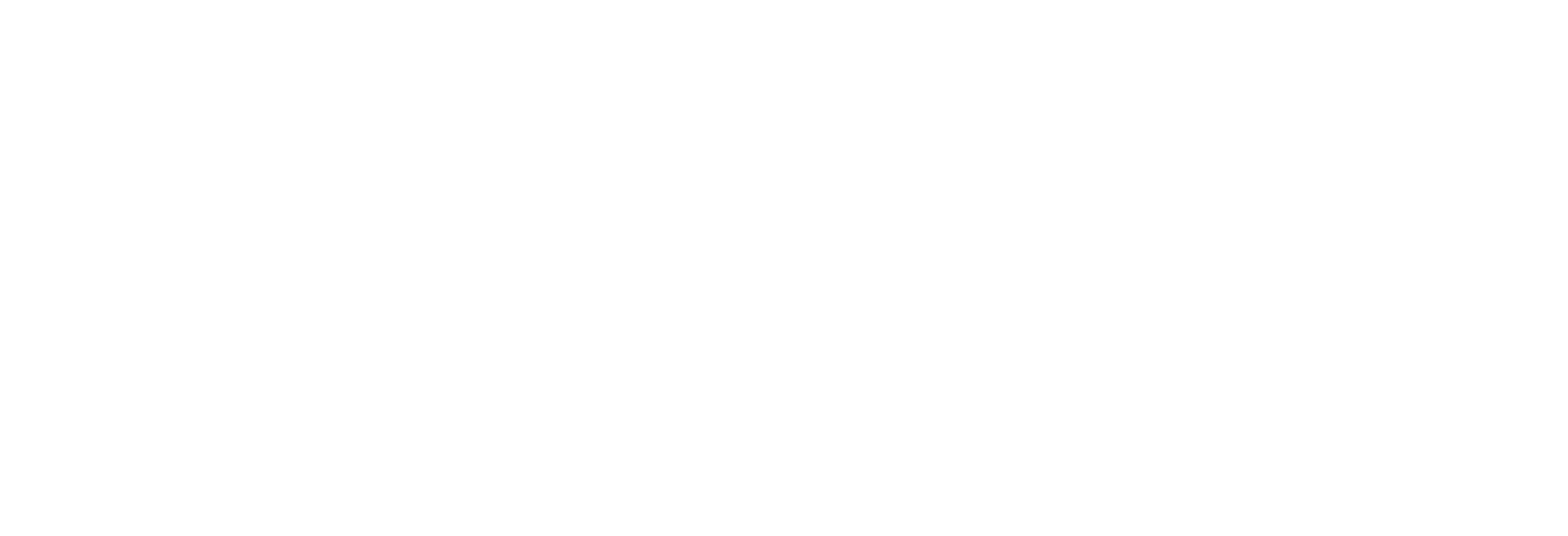 Nounous VIP