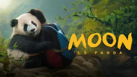 thumbnail - Moon le Panda