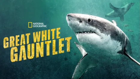 thumbnail - Great White Gauntlet