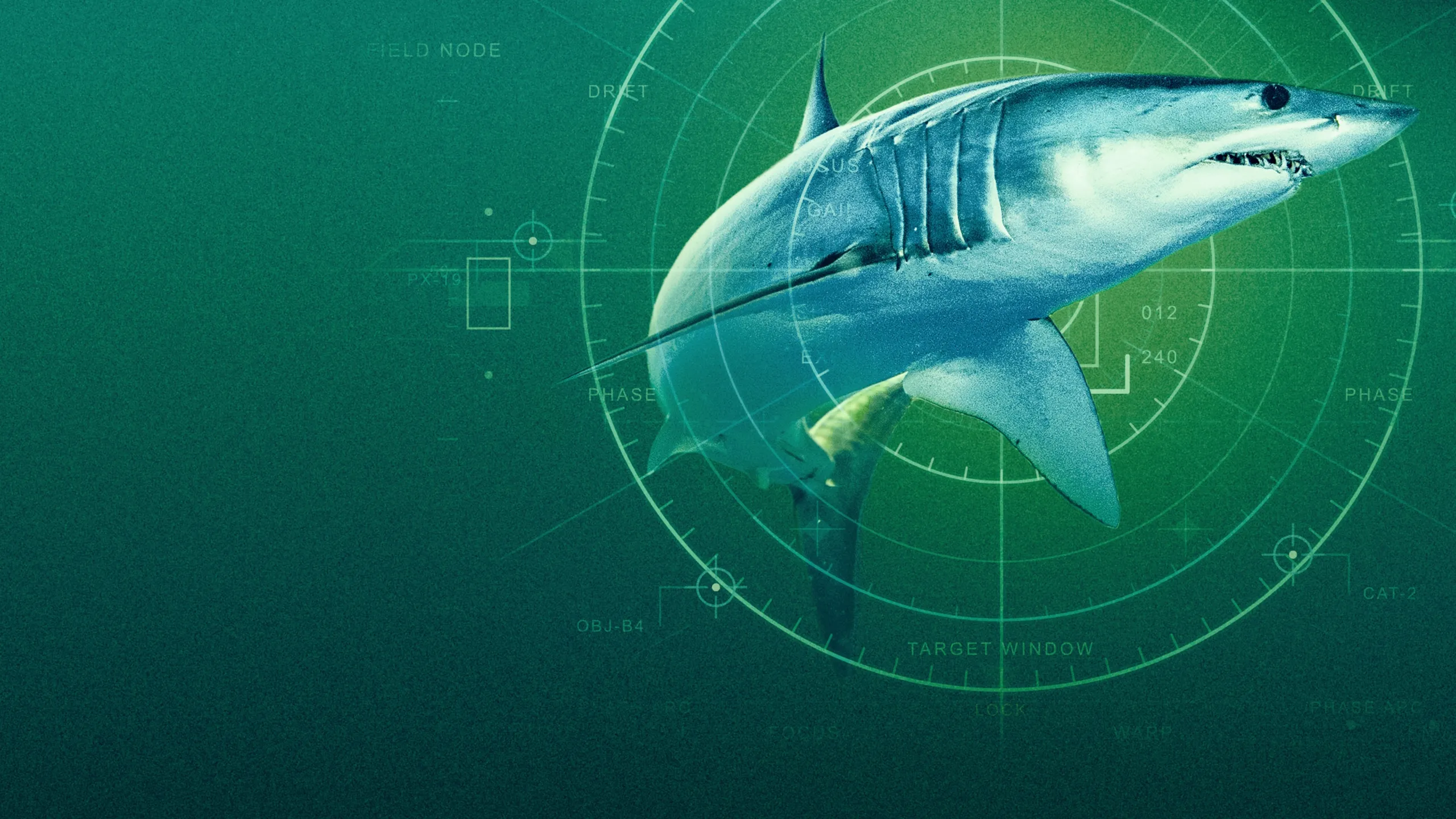 World's Biggest Mako