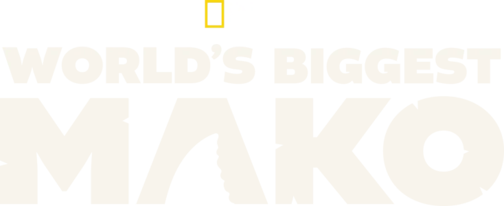 World's Biggest Mako