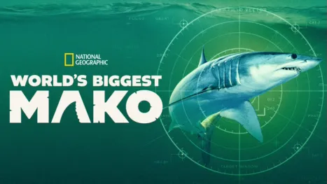 thumbnail - World's Biggest Mako
