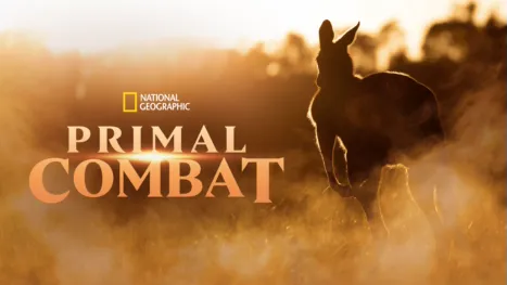 thumbnail - Primal Combat