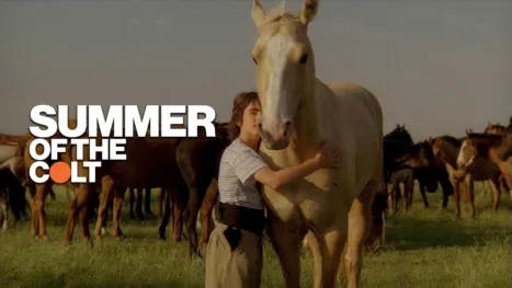 thumbnail - Summer of the Colt