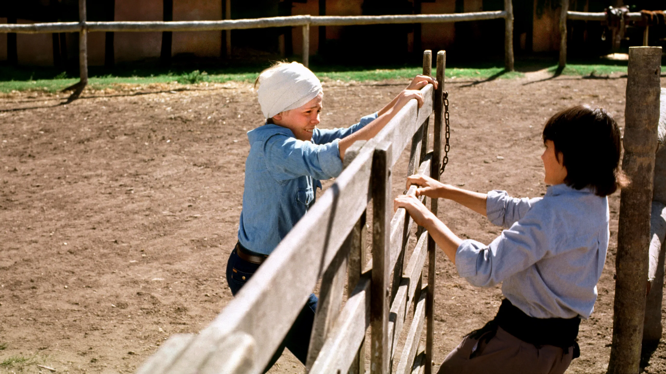 Summer of the Colt