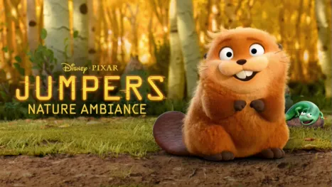 thumbnail - Jumpers Nature Ambiance
