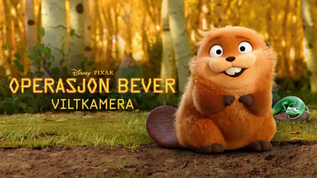 Se Operasjon Bever: Viltkamera | Disney+