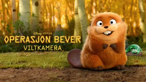 thumbnail - Operasjon Bever: Viltkamera