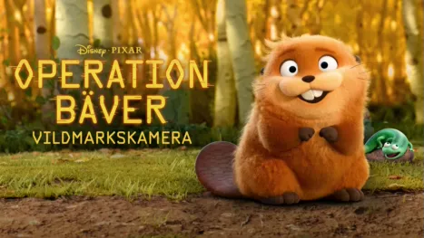 thumbnail - Operation Bäver: Vildmarkskamera