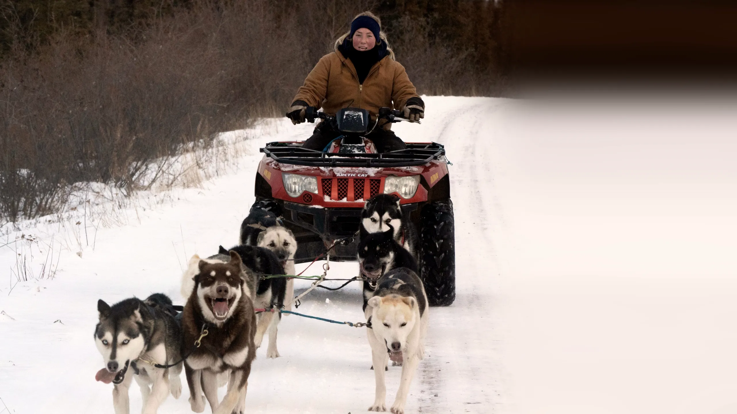 ‪Life Below Zero: Northern Territories‬