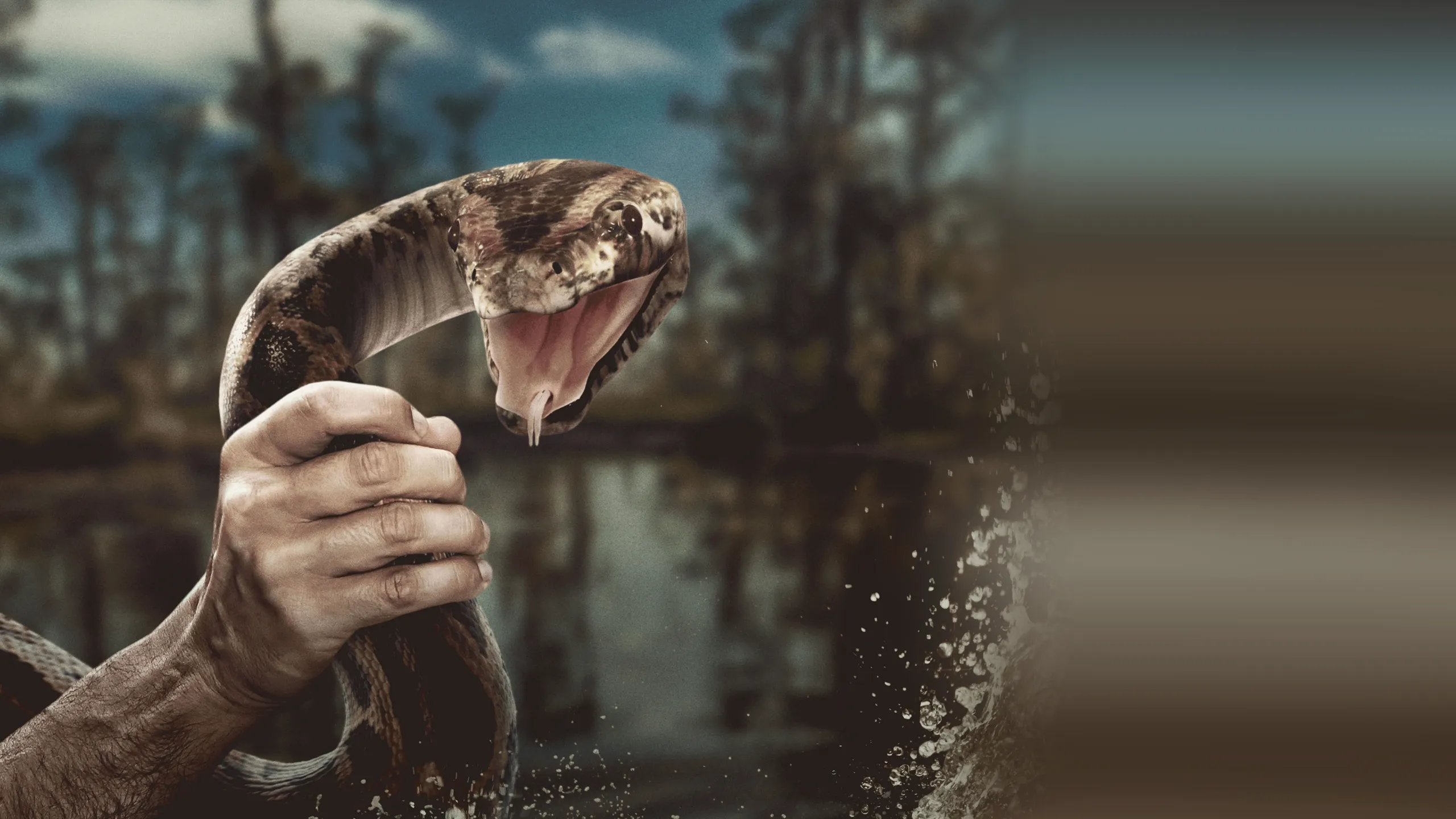 ‪Swamp People: Serpent Invasion‬