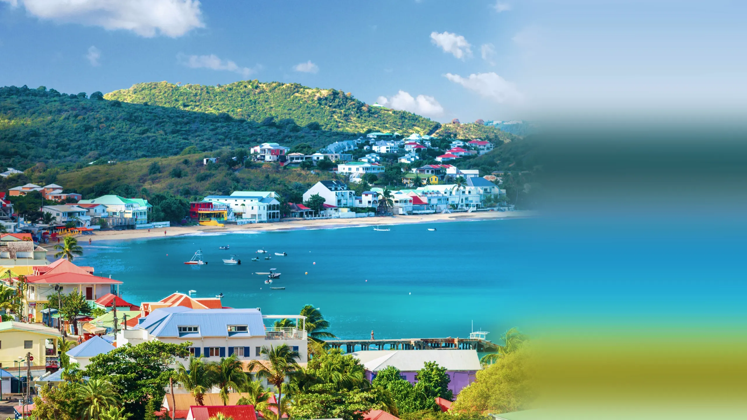 ‪Caribbean Life‬