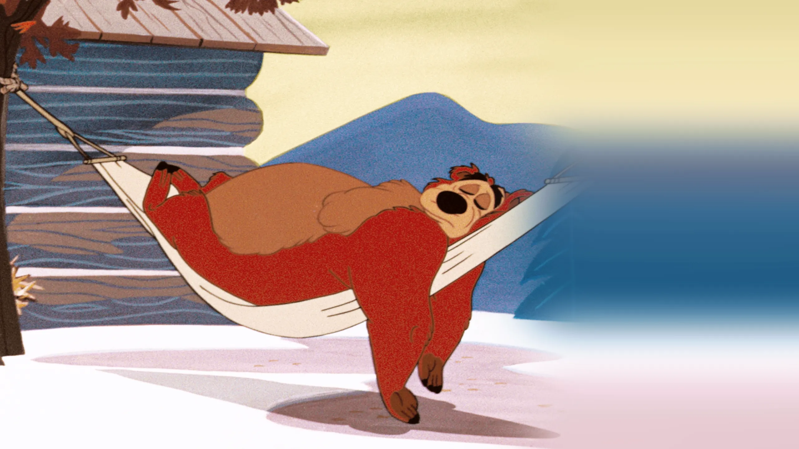 Bearly Asleep