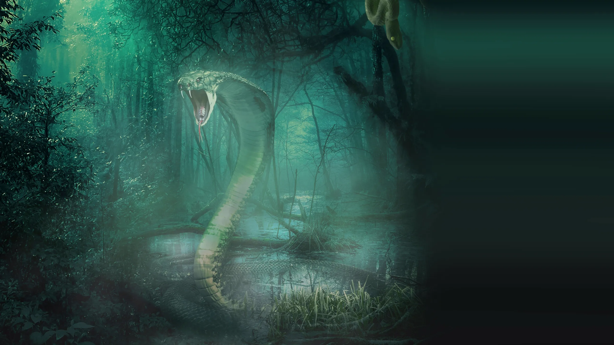 ‪MonsterQuest: Serpentine Creatures‬