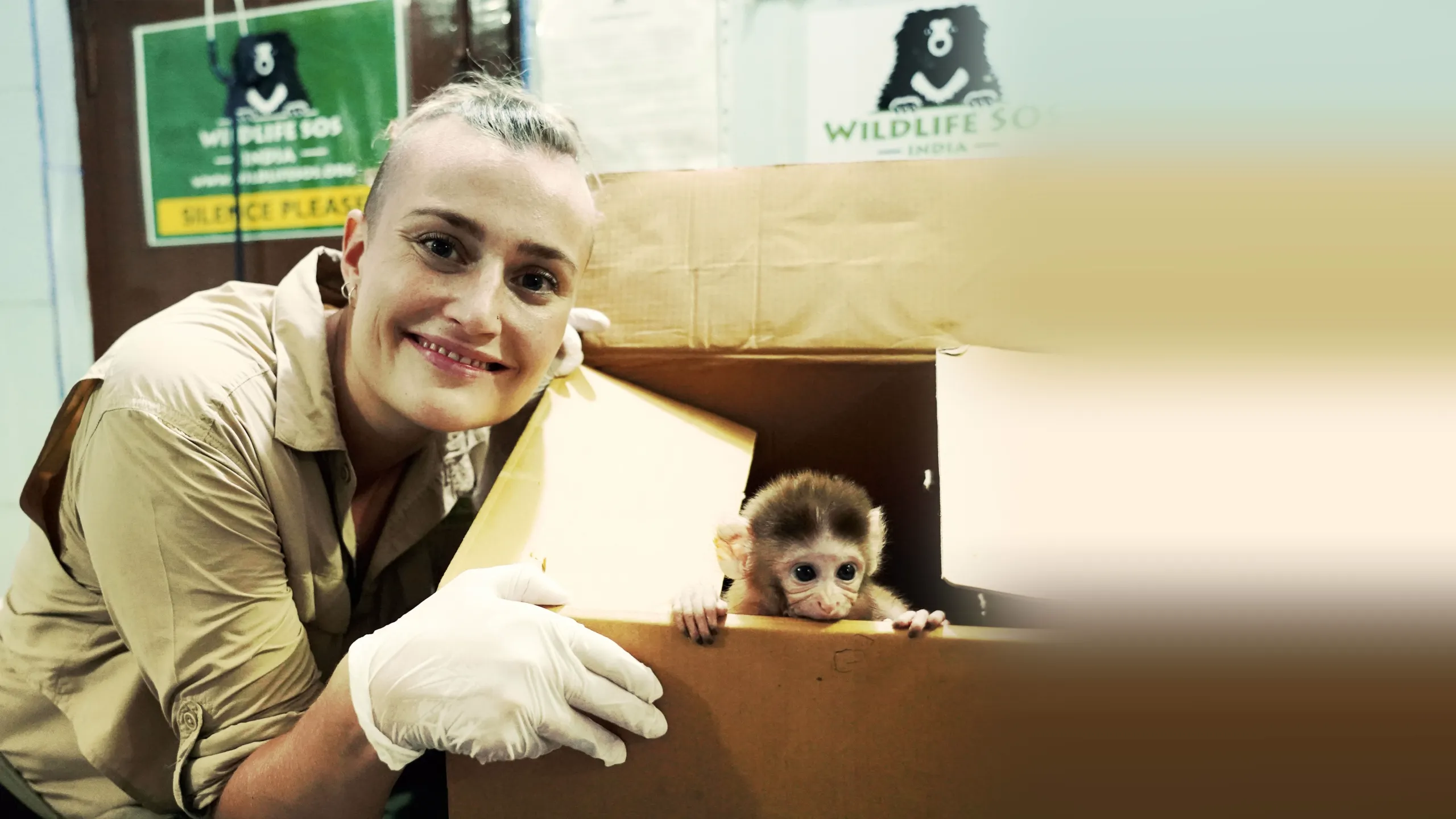‪Jungle Animal Rescue‬