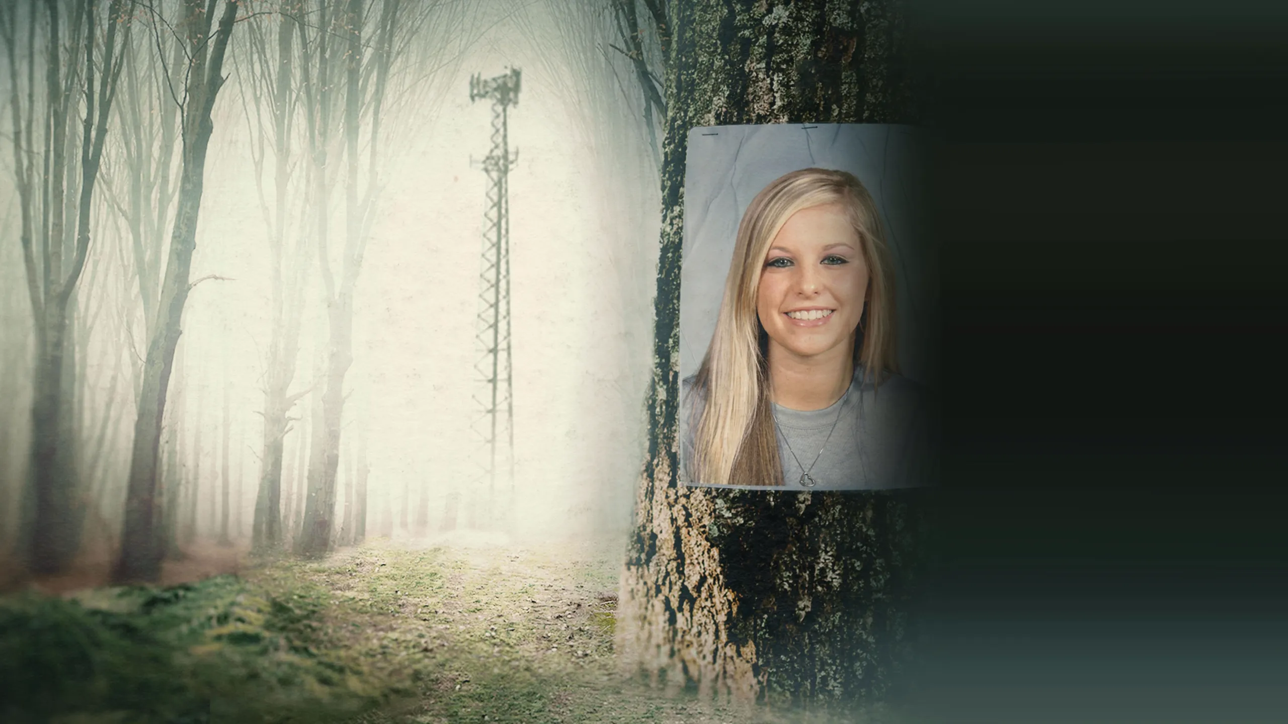 ‪IMPACT x Nightline: It Started With a Scream: What Happened to Holly Bobo? ‬