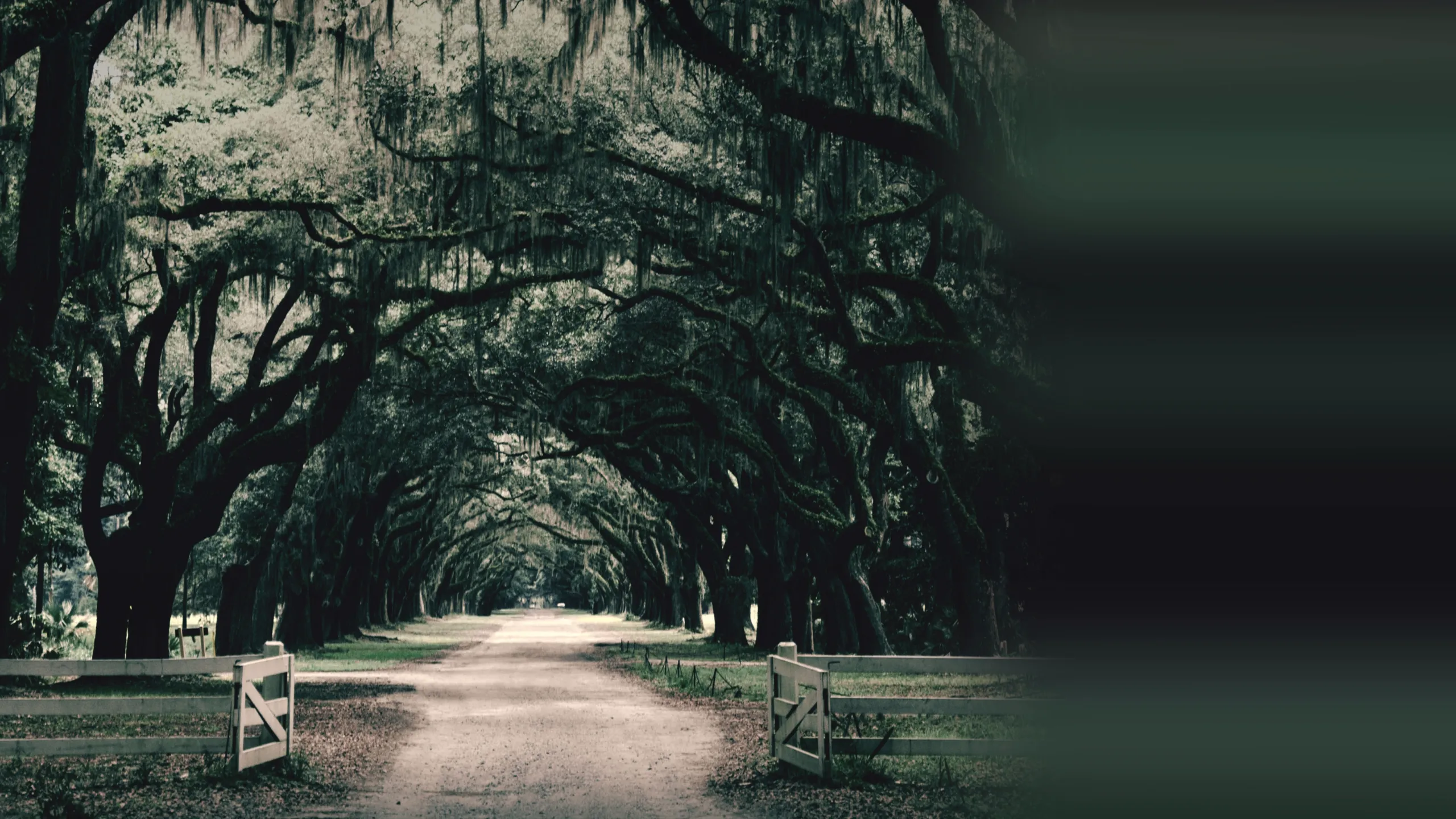 ‪Southern Gothic‬