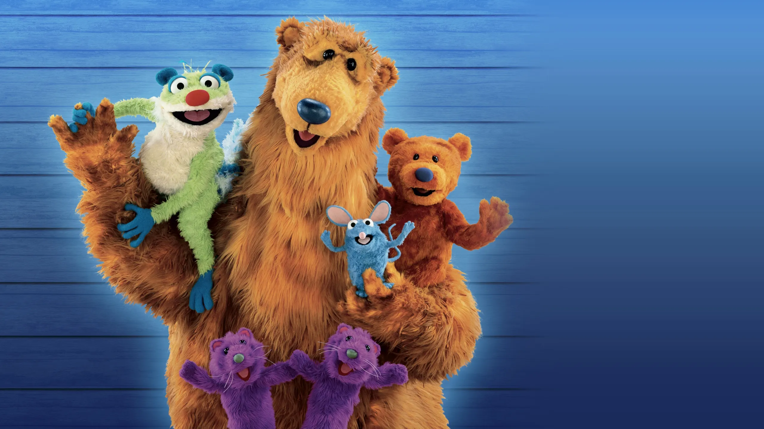 Bear in the Big Blue House