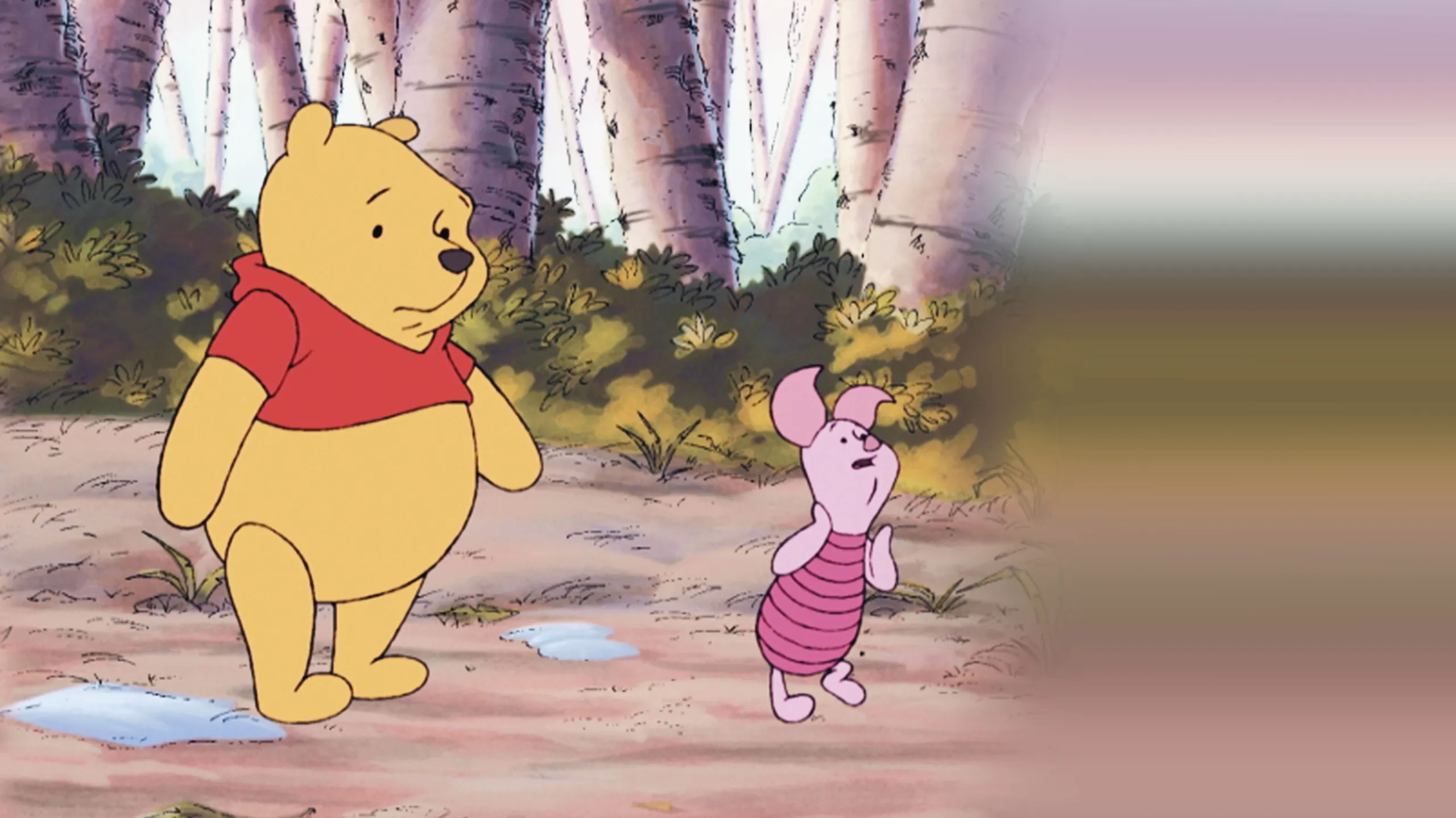 ‪Winnie the Pooh: A Valentine for You‬