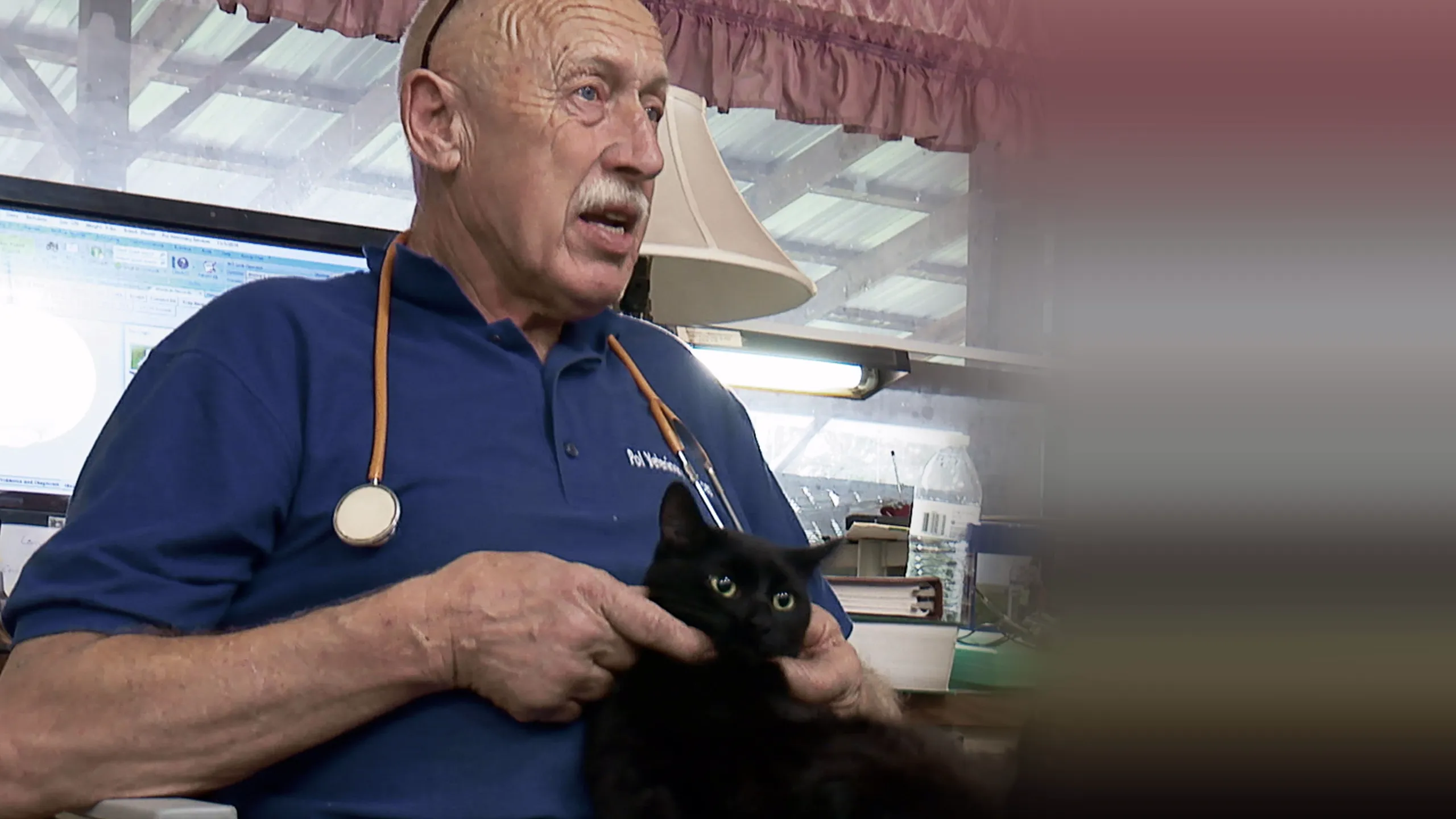 ‪Incredible Dr. Pol: A 200th Polapalooza‬