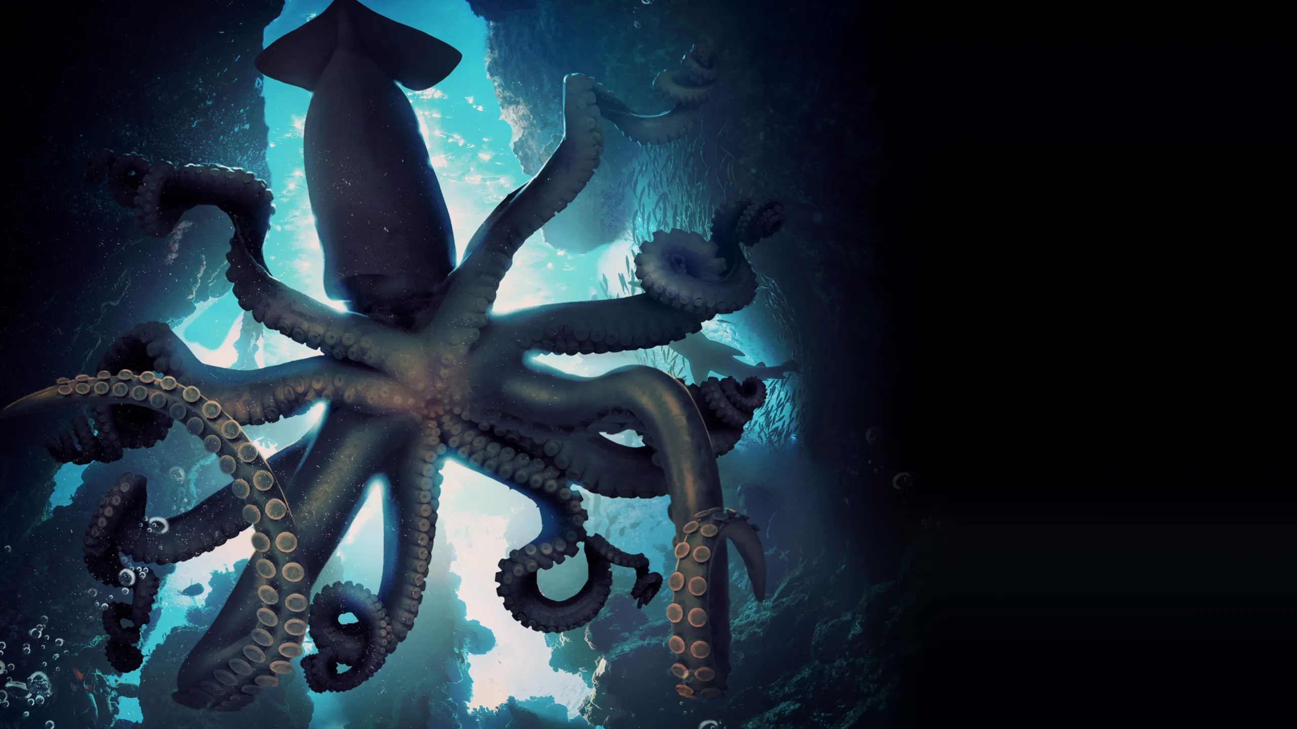 ‪MonsterQuest: Predators of the Deep‬